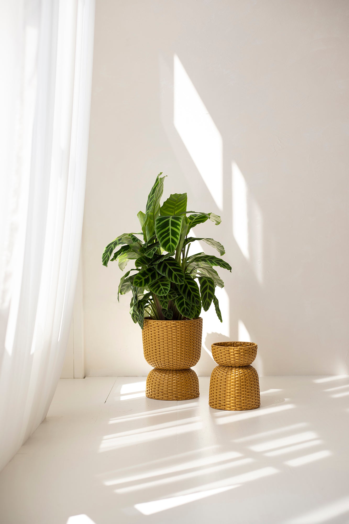 'twist' plant stand