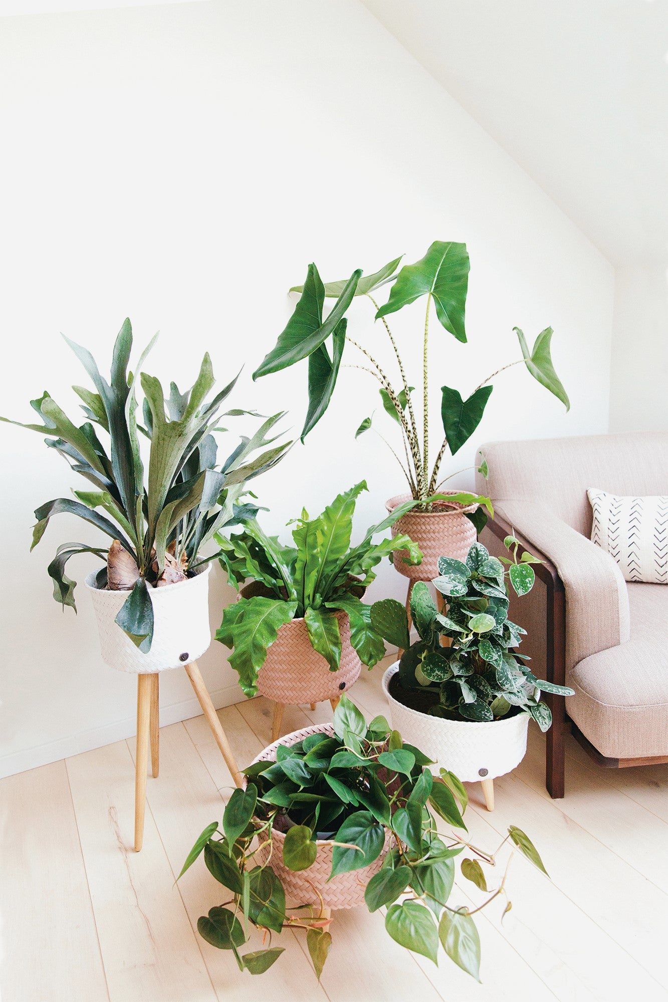 'UP HIGH' PLANT BASKET