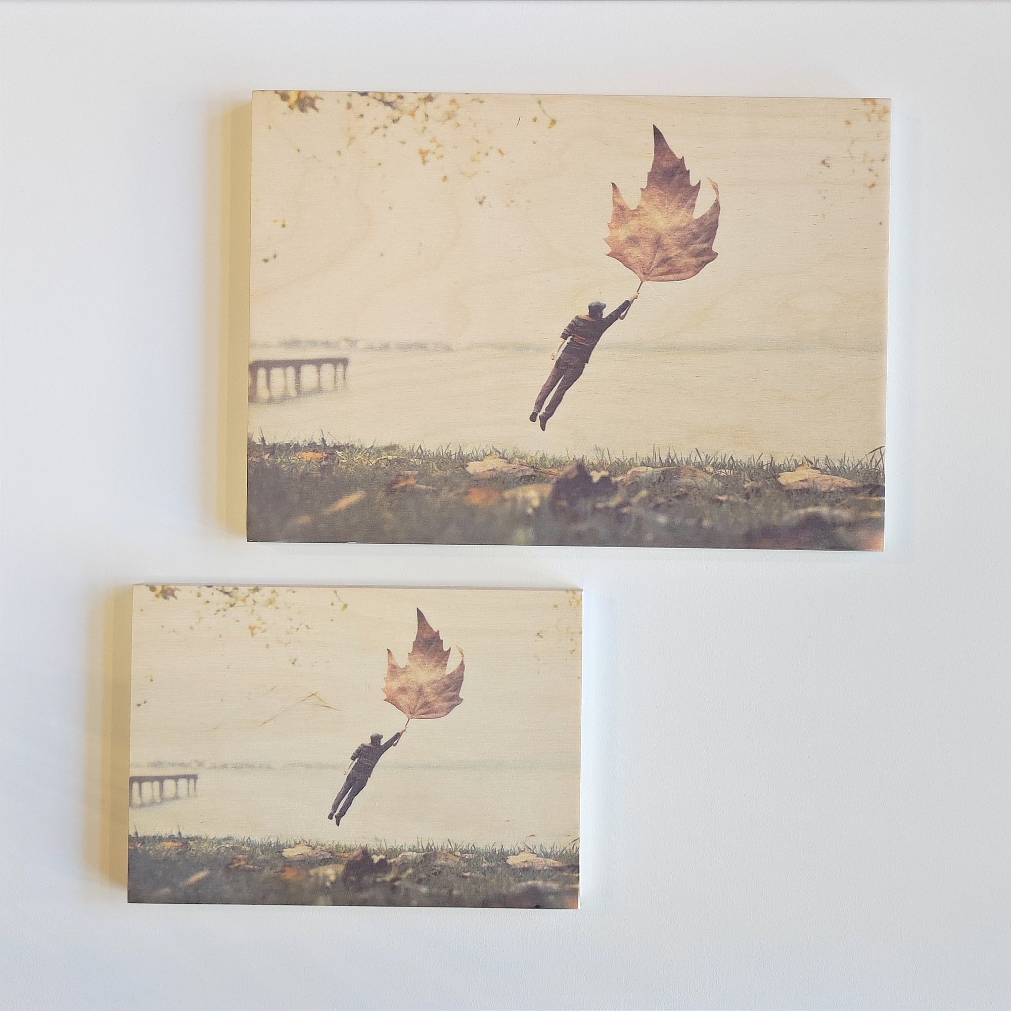 PLYWOOD PICTURE