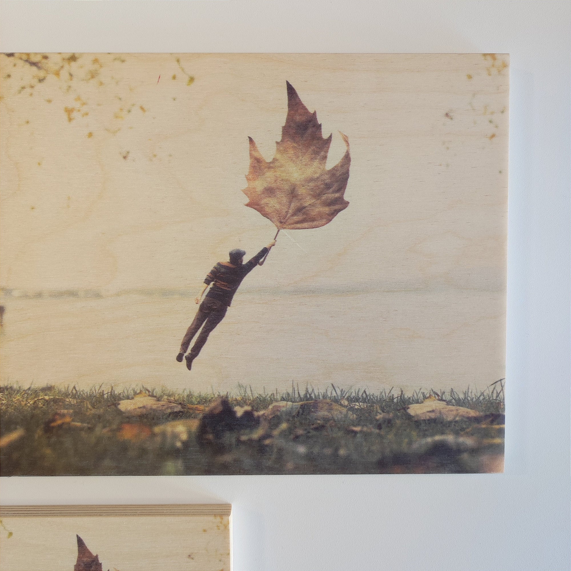PLYWOOD PICTURE