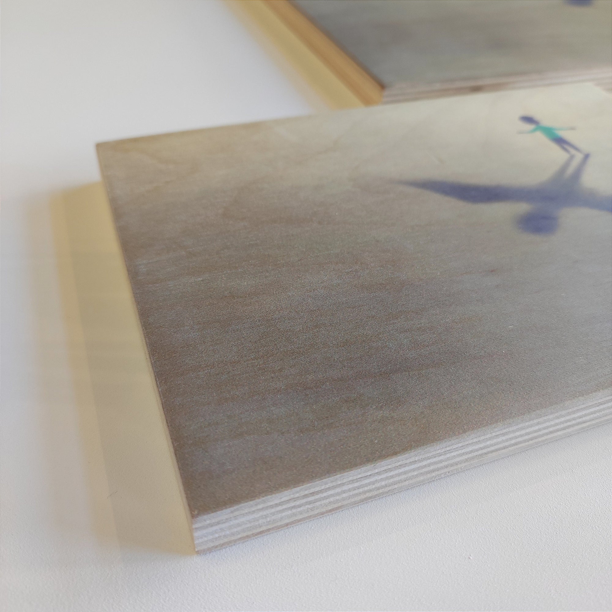 PLYWOOD PICTURE