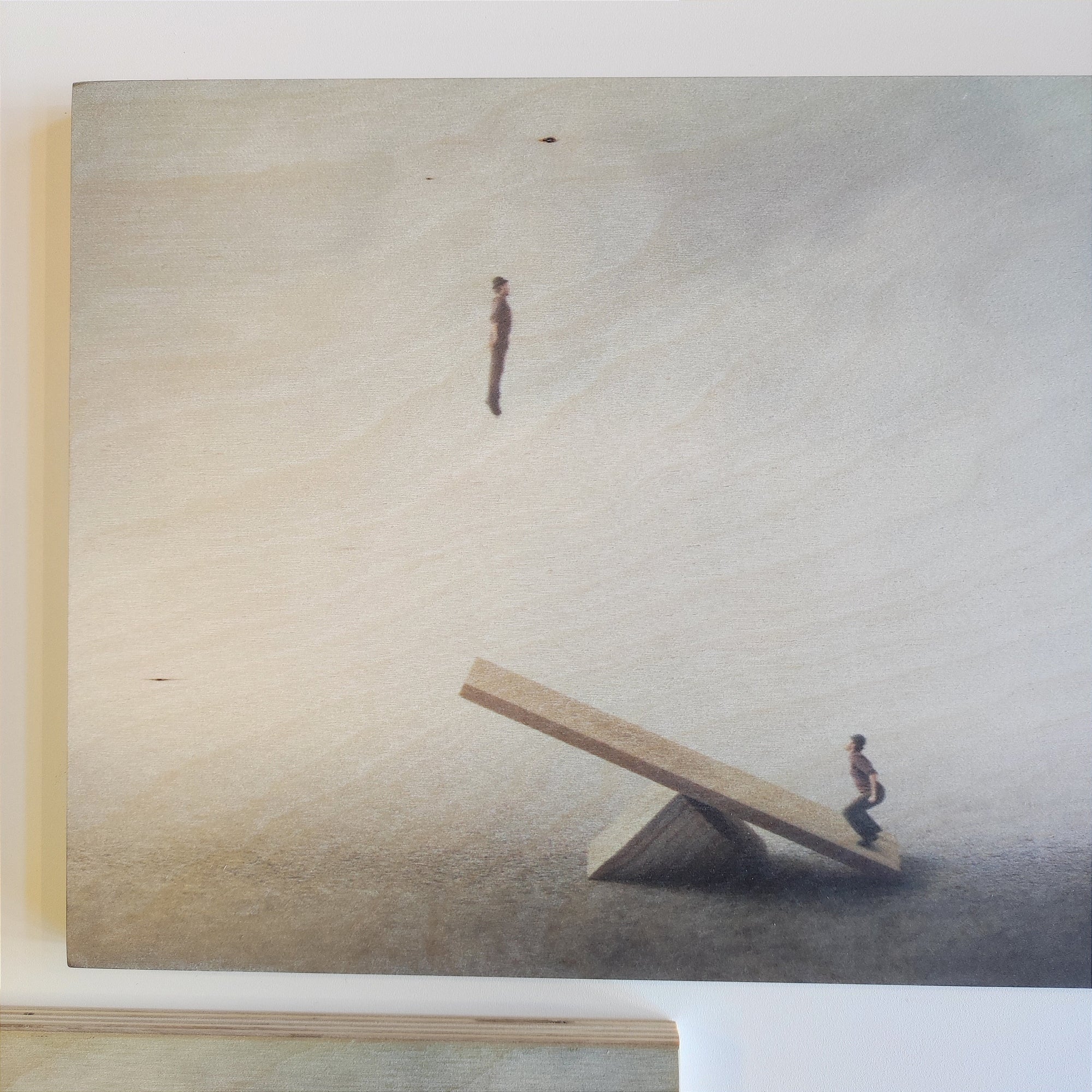 PLYWOOD PICTURE